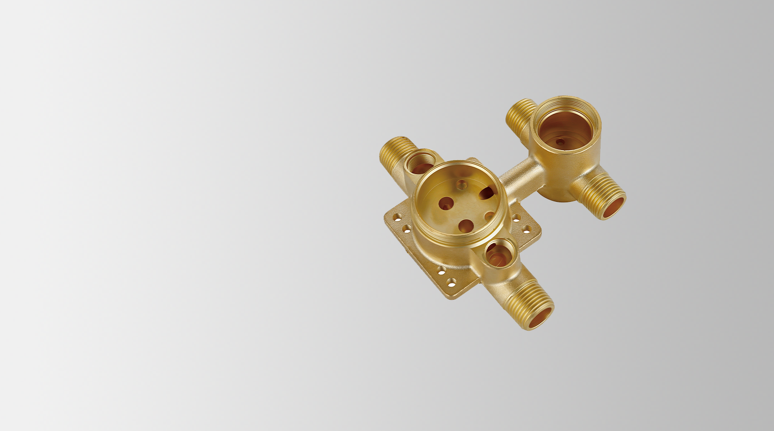  <span style="font-size:24px;"><strong>Forgings</strong></span> 