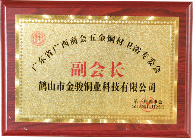 Vice President of Guangxi Chamber of Commerce Hardware Copper Sanitary Ware 